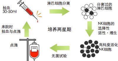 画像に alt 属性が指定されていません。ファイル名: NK2-1.jpg